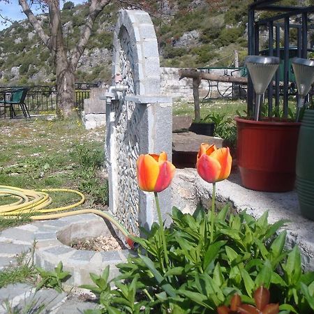 Terpsichori Guesthouse Kepésovon 외부 사진