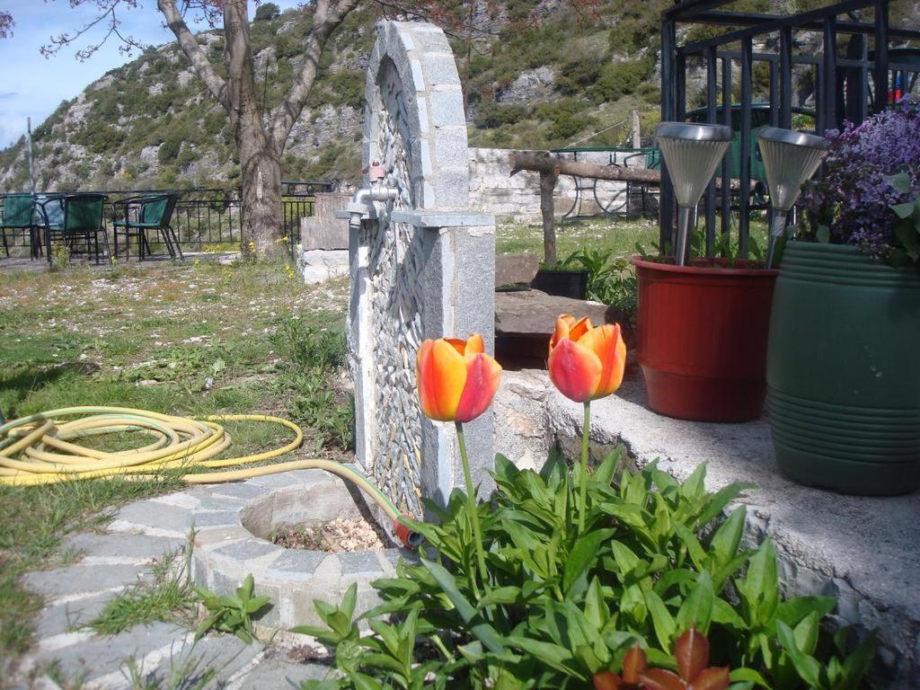 Terpsichori Guesthouse Kepésovon 외부 사진